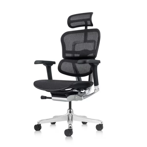 Ergohuman Original Elite - Imagen 6