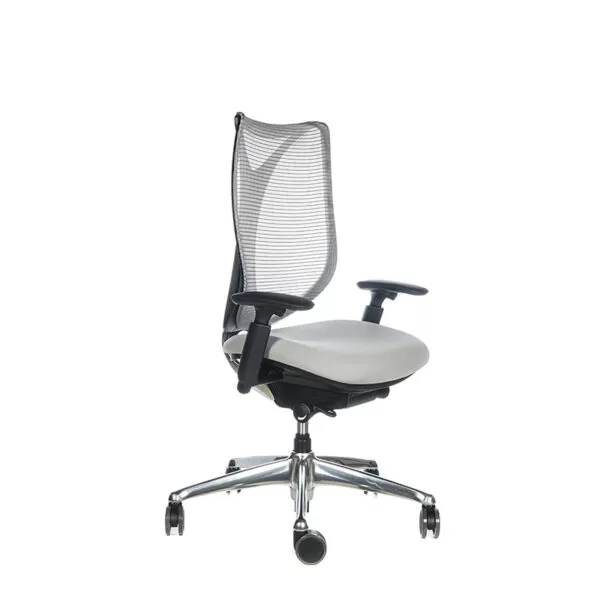 Silla Ergonómica Sabrina Negro - Gris - Imagen 2