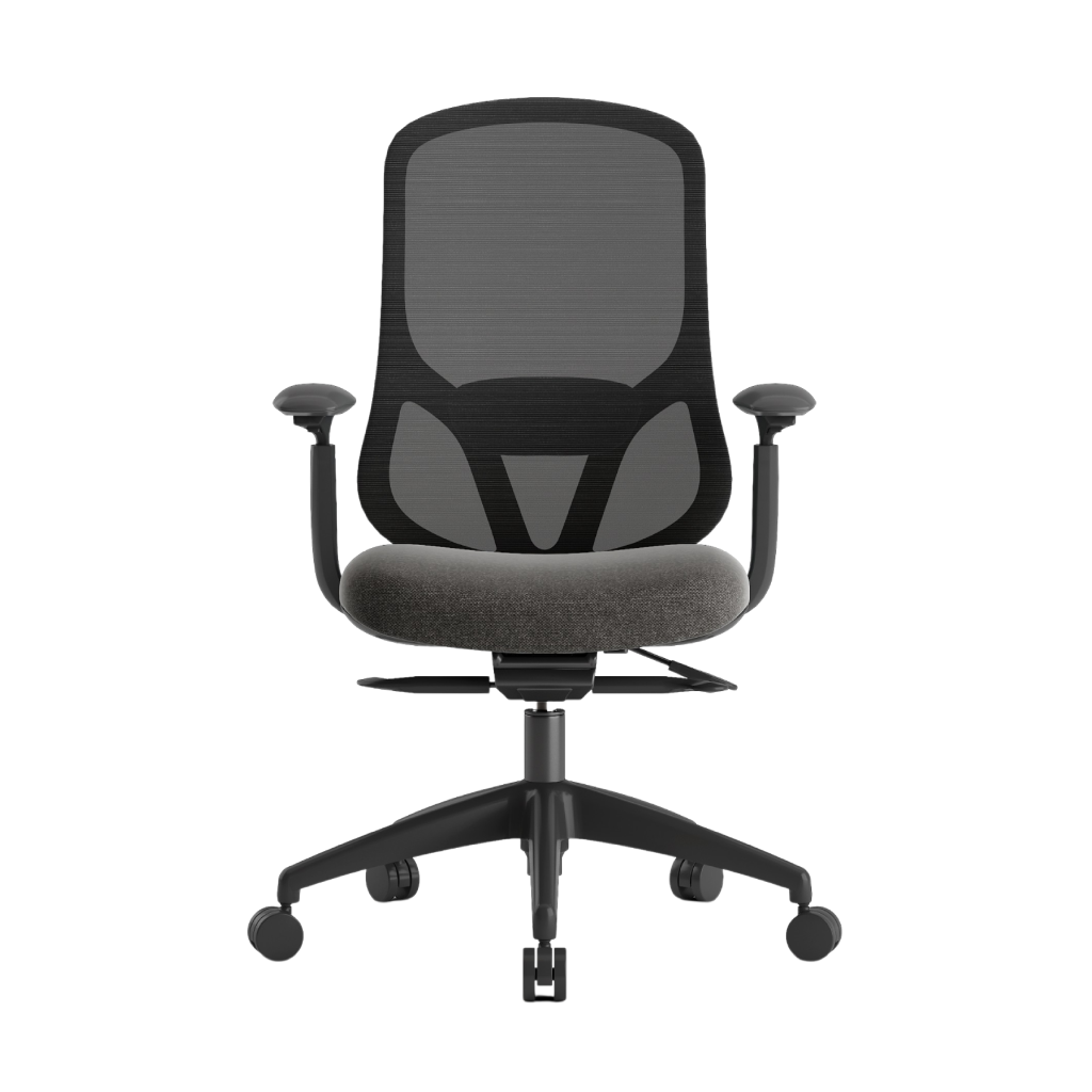 novus web